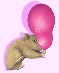 Hamster blowing balloon