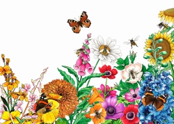 Butterflies and bees on bright multicolored garden flowers
