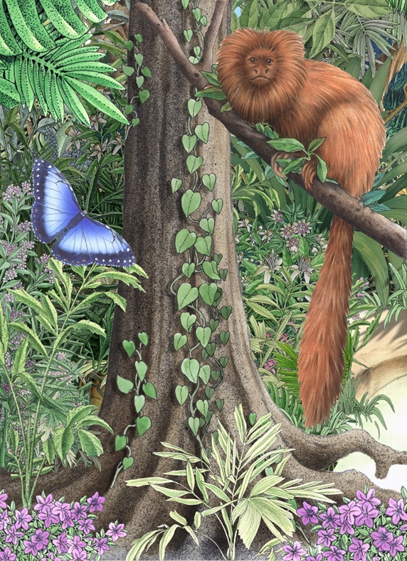 Exotic monkey and butterfly