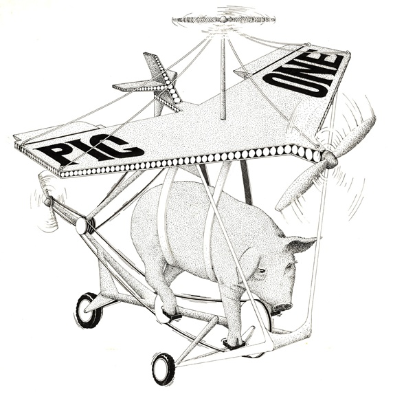 Pig on hang glider