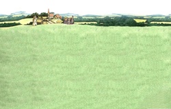 Town on hill by green fields