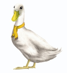 Duck in yellow scarf