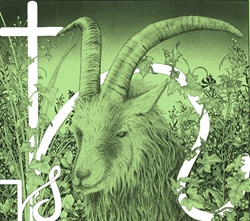 Horned goat and cross in field