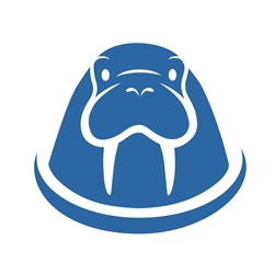Blue walrus head on white background