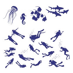 Sea animals and divers