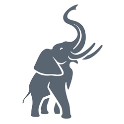 Elephant raising trunk