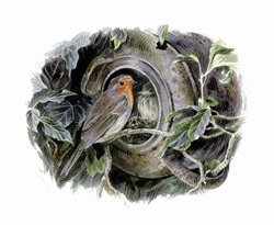 Illustration of robin with nest in overturned pot