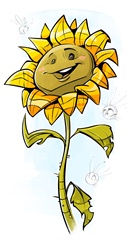 Smiling sunflower on white background