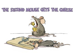 Mouse eating cheese with dead mouse in trap on foreground