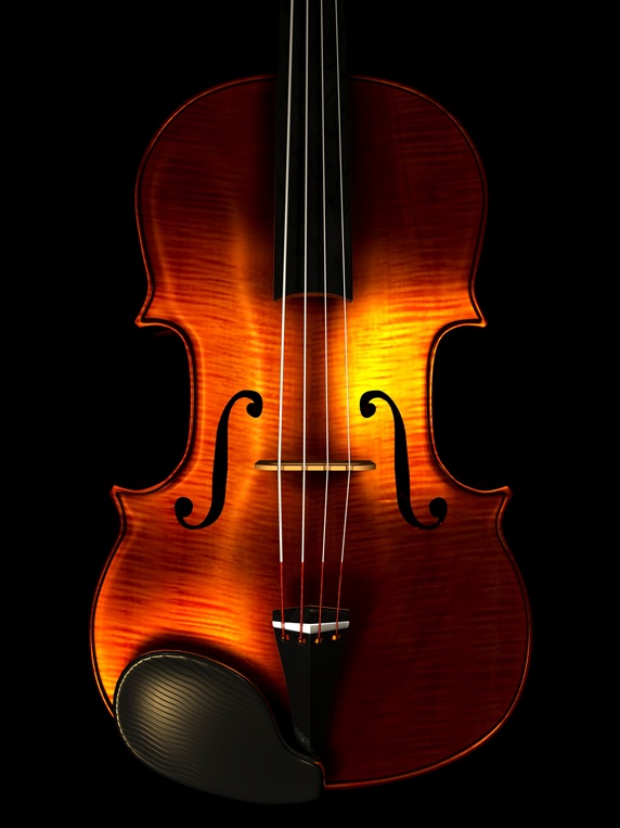 Symmetrical view of violin against black background
