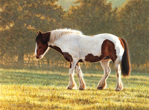 Horse walking in pasture, trees in background