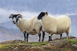 Two goats in mountain landscape
