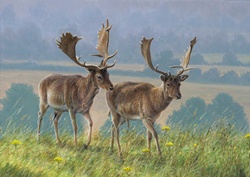 Two deers walking in meadow