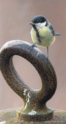 Chickadee perching on metal ring