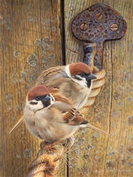 Two sparrows perching on rope by wooden door
