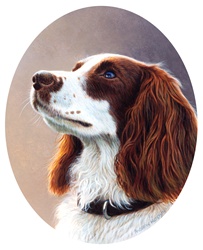 Round portrait of dog against neutral background