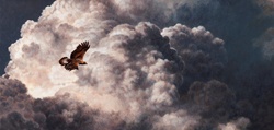 Golden eagle flying in stormy, cloudy sky
