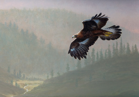 Golden eagle flying over misty valley