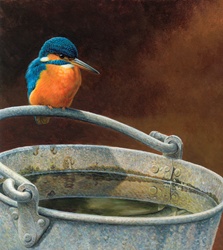 Kingfisher perched on the handle of metal bucket