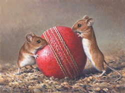 Two mice with red cricket ball