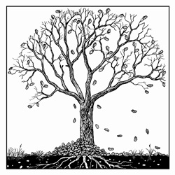 Black and white drawing of tree in autumn