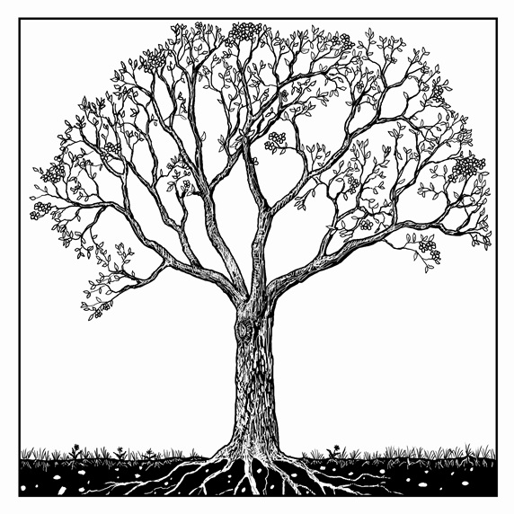 Black and white drawing of tree in spring