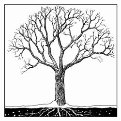 Black and white drawing of tree in winter