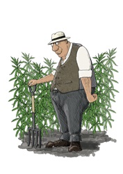 Mature man holding pitch fork, standing in front of cannabis plants