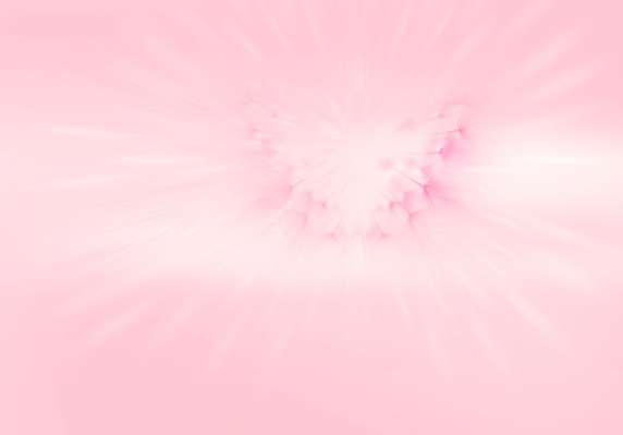 Abstract pink backgrounds of dandelion clock 
