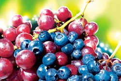 Blueberries and red grapes