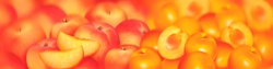 Close up of slices of fresh peaches and apricots
