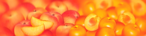 Close up of slices of fresh peaches and apricots