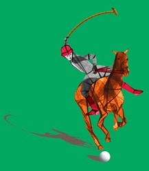 Polo player riding horse hitting ball with mallet