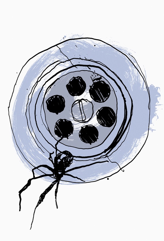 Close up drawing of spider in sink plug hole