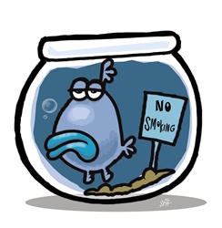 Sad fish with no smoking sign