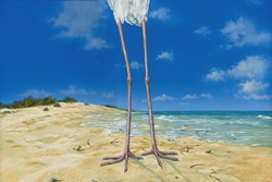 Close up on stork's legs on beach