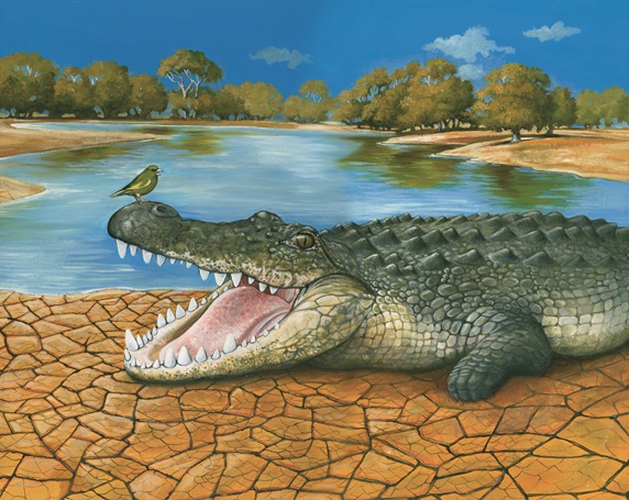 Bird sitting on crocodile's open mouth by Bob Venables