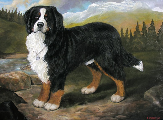 Bernese Mountain Dog standing in landscape by Bob Venables