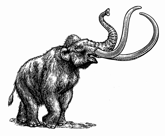 Black and white scraperboard engraving of woolly mammoth