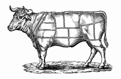 Black and white scraperboard engraving of cow divided into sections