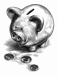 Black and white scraperboard engraving of piggy bank looking at British coins