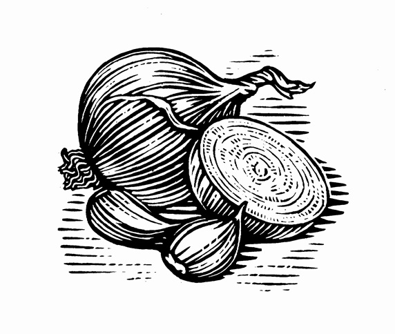Black and white scraperboard engraving of onions and garlic