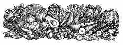 Black and white scraperboard engraving of lots of fresh fruit and vegetables