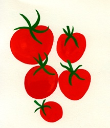 Tomatoes on white background