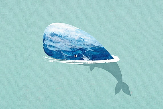 Blue whale surfacing in ocean