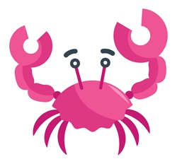 Pink crab on white background