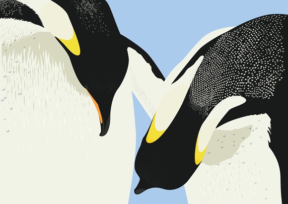 Two patterned penguins, blue sky
