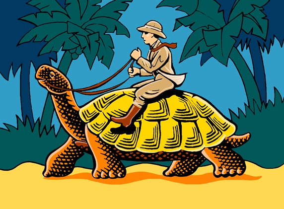 Man on safari riding tortoise