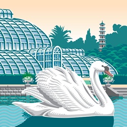 Swan on pond, glasshouse and botanic garden in background