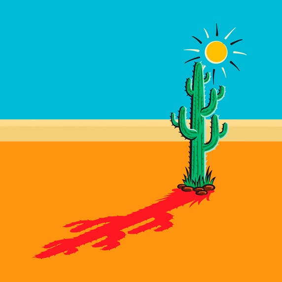 Shadow of cactus in sunny desert